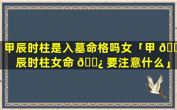 甲辰时柱是入墓命格吗女「甲 🐕 辰时柱女命 🌿 要注意什么」